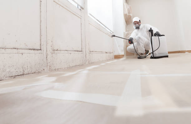 24/7 Emergency Crawl Space Mold Remediation experts in Alamance, NC
